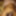Indian Desi Big Black Dick
