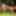 Hot Nessa Devil naked in the paradise garden #21