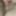 Micro penis