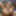 Elen Million&#039;s double prolapse