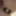 Mix of NSFW
