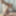 新しいイントロの写真