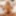 TRANSEXPOV: Wake Up &amp; Smell The Emma Rose