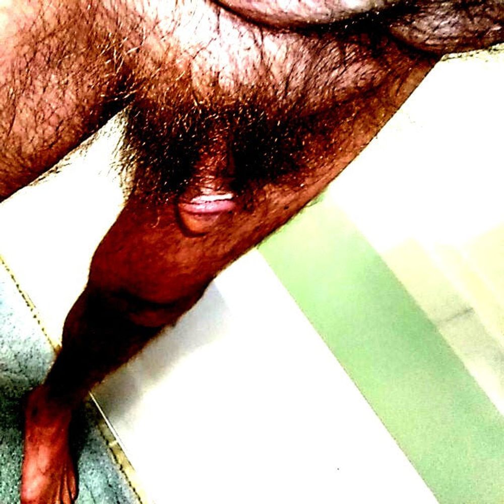 Hairy cock #5