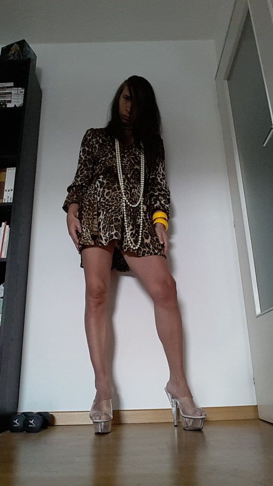 Tygra in her new leopard dress. #33