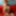 Venus Love Dolls - New Arrival - X2 #9