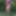 Flowered dress #43