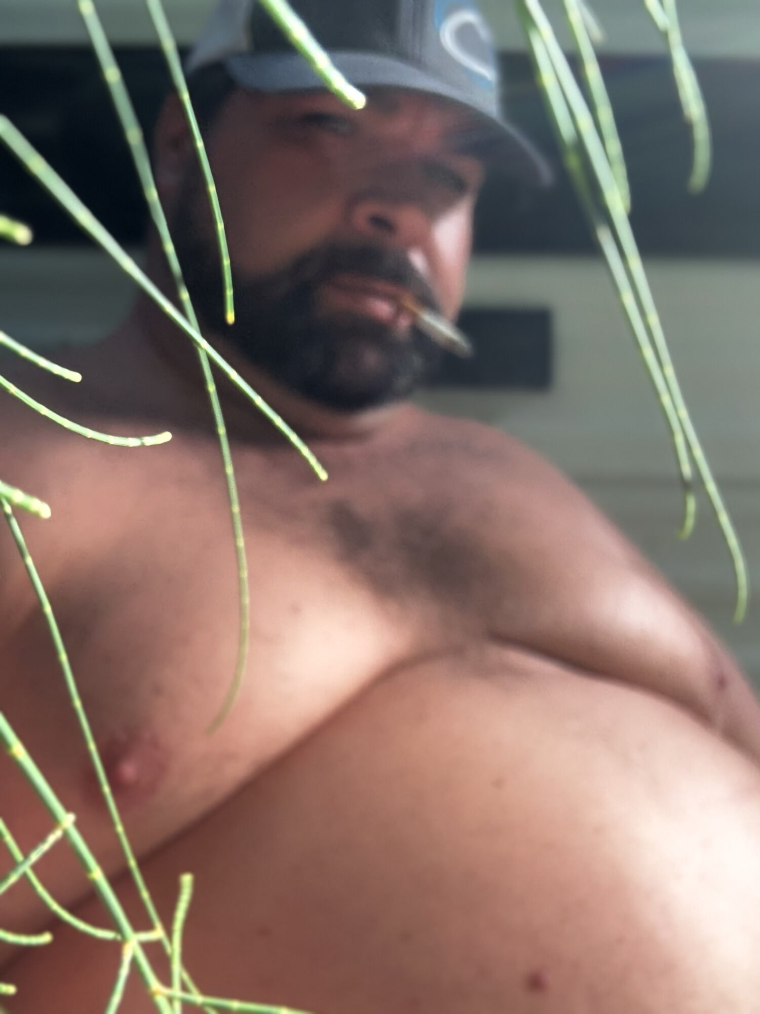 BrewsterBear Again #27