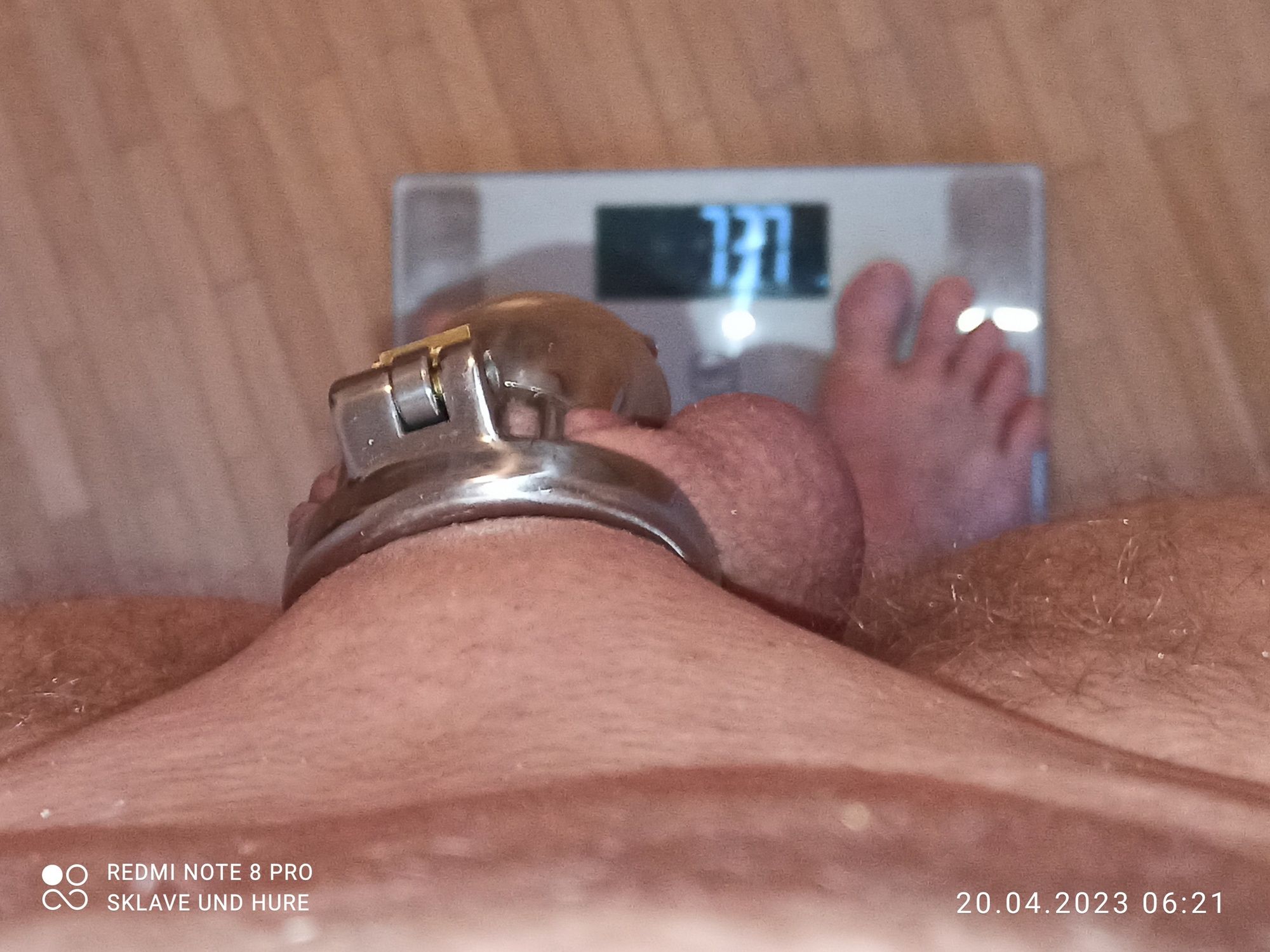Order photo and weighing cagecheck clamps 20.04.2023 #19