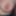 My Boobs