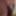 Weighing, Cagecheck, plugcheck, Nylons, September, 21,2023 #4
