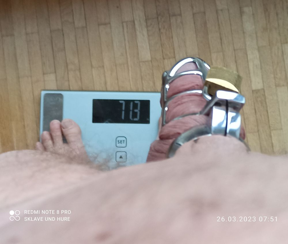 mandatory weighing and cagecheck of 26.03.2023 #5