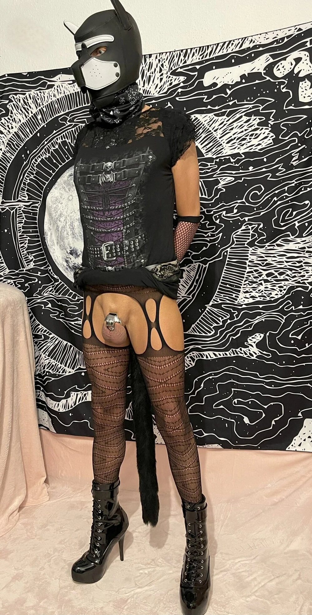 Sissy and a new tiny metal cage #5