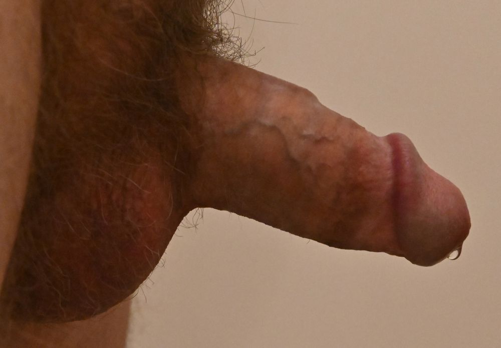 more penis close-ups #5