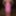 Faggot Andrew Brown Dressed Slutty in Pink Fishnet #2
