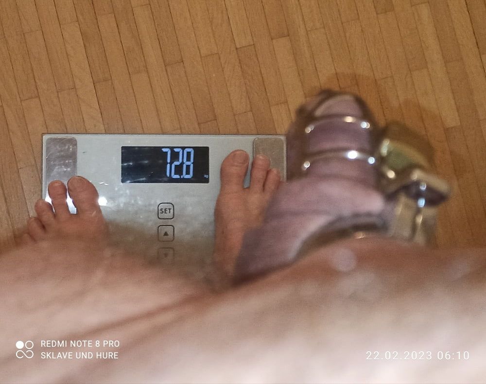 Daily cagecheck, mandatory weighing 22.02.2023 #7