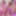 who wna get stepped on by a gyaru? 