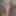 Her Naked Forest Stroll