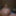 jerking exhibitionist webcam cumshot