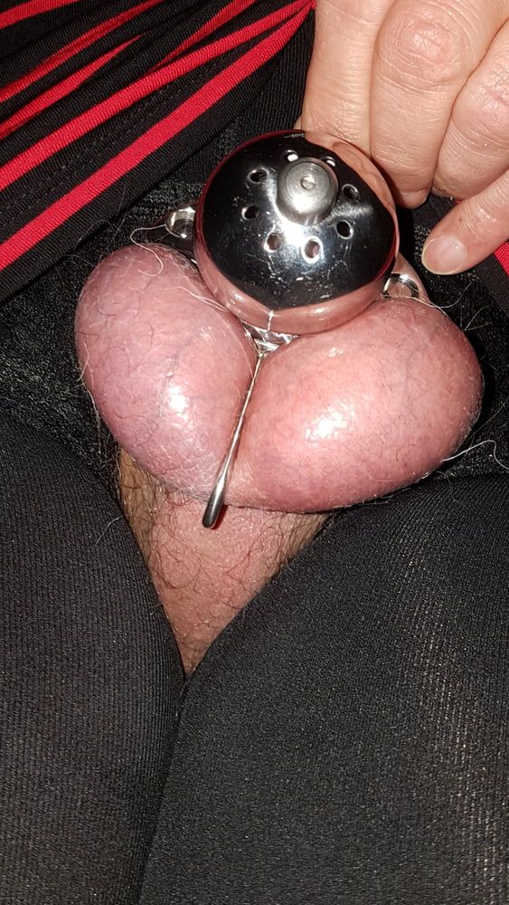 Chastity cage #8
