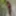SuzyB showing her slender legs #5