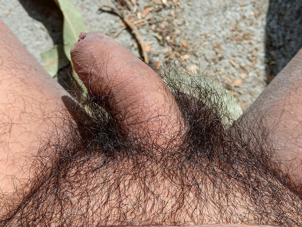 My nice flaccid penis after 9 months without shaving #6