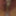 Mandatory Weighing, Cagecheck Oktober 18, 2023 #8