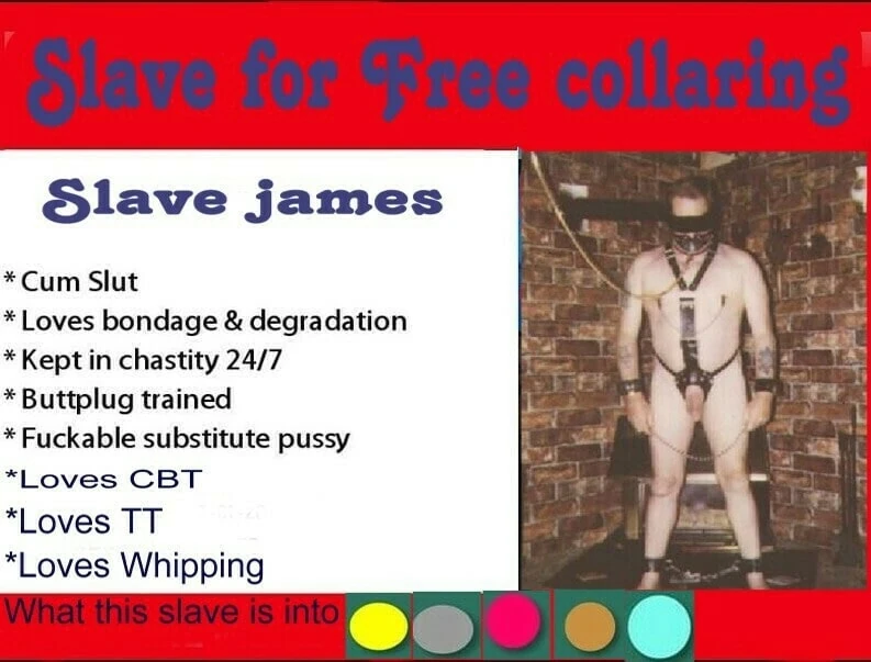 slave logs