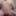 Fat chub ruined cum
