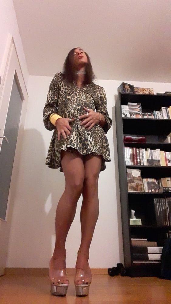 Sissy Tygra in leopard dress on 2019 octobre. #3