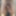 Cock pics Fall-Winter 2024