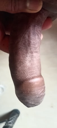 BULL 
