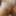 MY ASS AND ASSHOLE,  TOYS, AND ME NUDE #4
