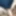 SELF SUCK SELFSUCK AUTOFELLATIO GIFS #2