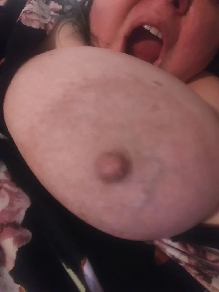 All kinds of Titties
