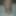ブラックランドはそれが好き