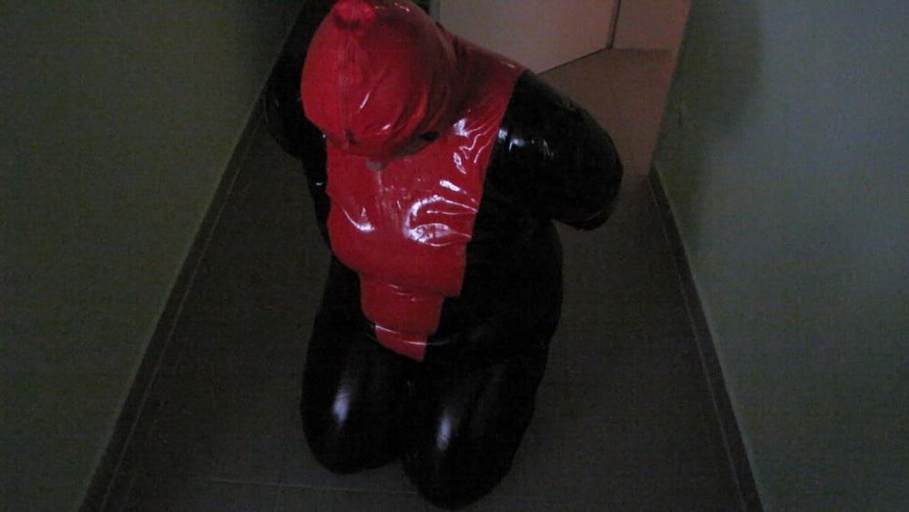 Petplay in latex suit ...