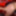 Whipped Desires: A Domestic Domination Massage #5