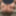 レースセクシー