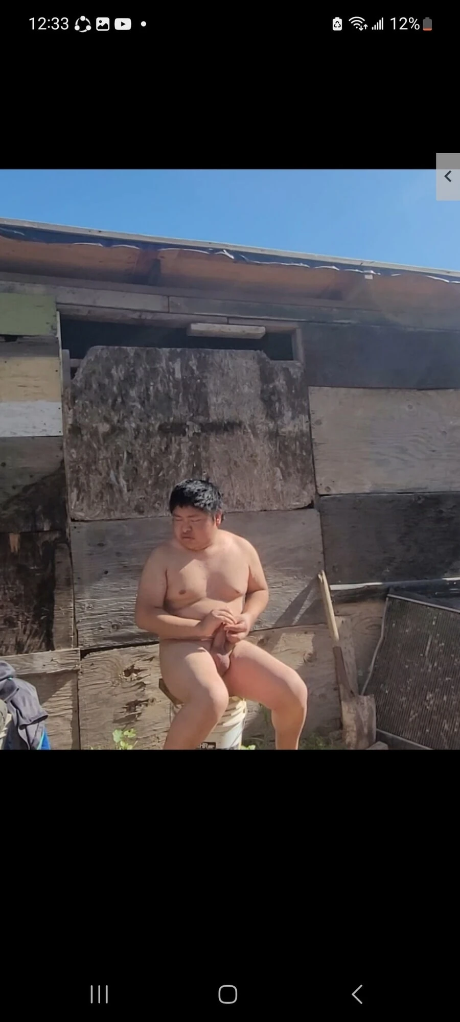 Penis