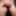 Scrotum