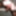 Kinky Posing Slutty Evelina 11