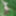 Girl in the forest #6