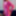 Sissy Slut Ashley Jolene Modeling A Hot Pink Catsuit
