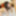 slim japanese teen Reina Is A Raw Cum Slut #17
