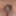 Daily duty of the naked slave April 17th, 2024 #8