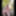 Nude walk on the forest path from the Waldkunstfahrt Darmsta #10