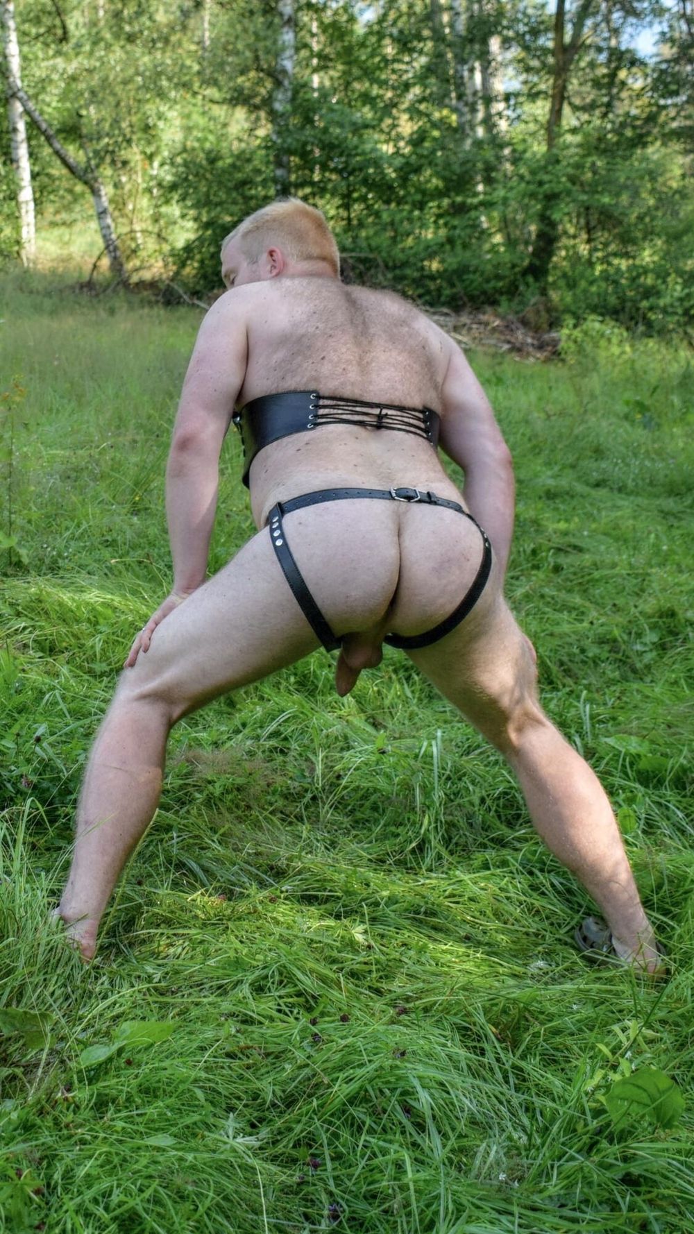 Harness, cock and outdoor #4