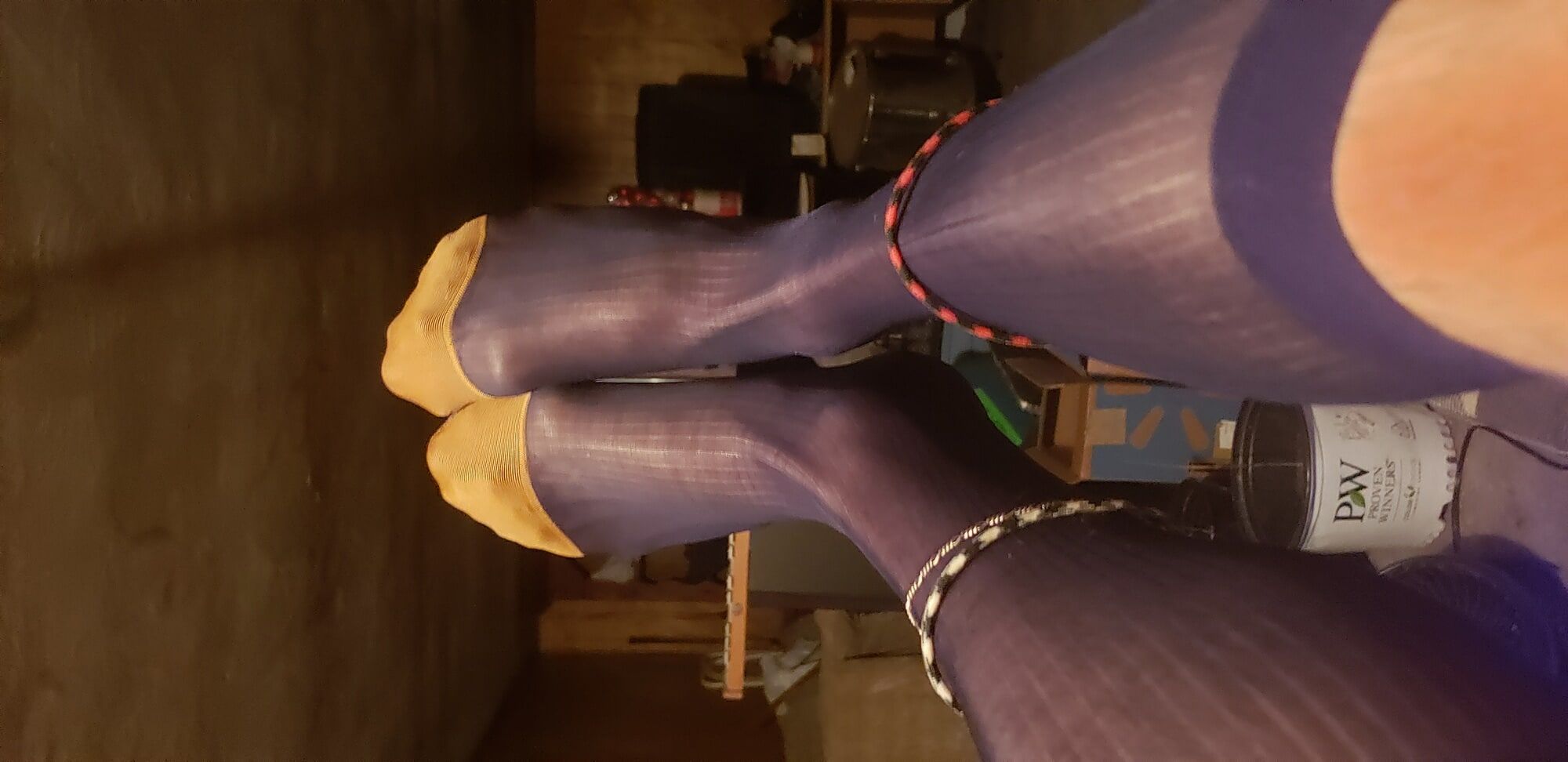 nylon Stockings #13