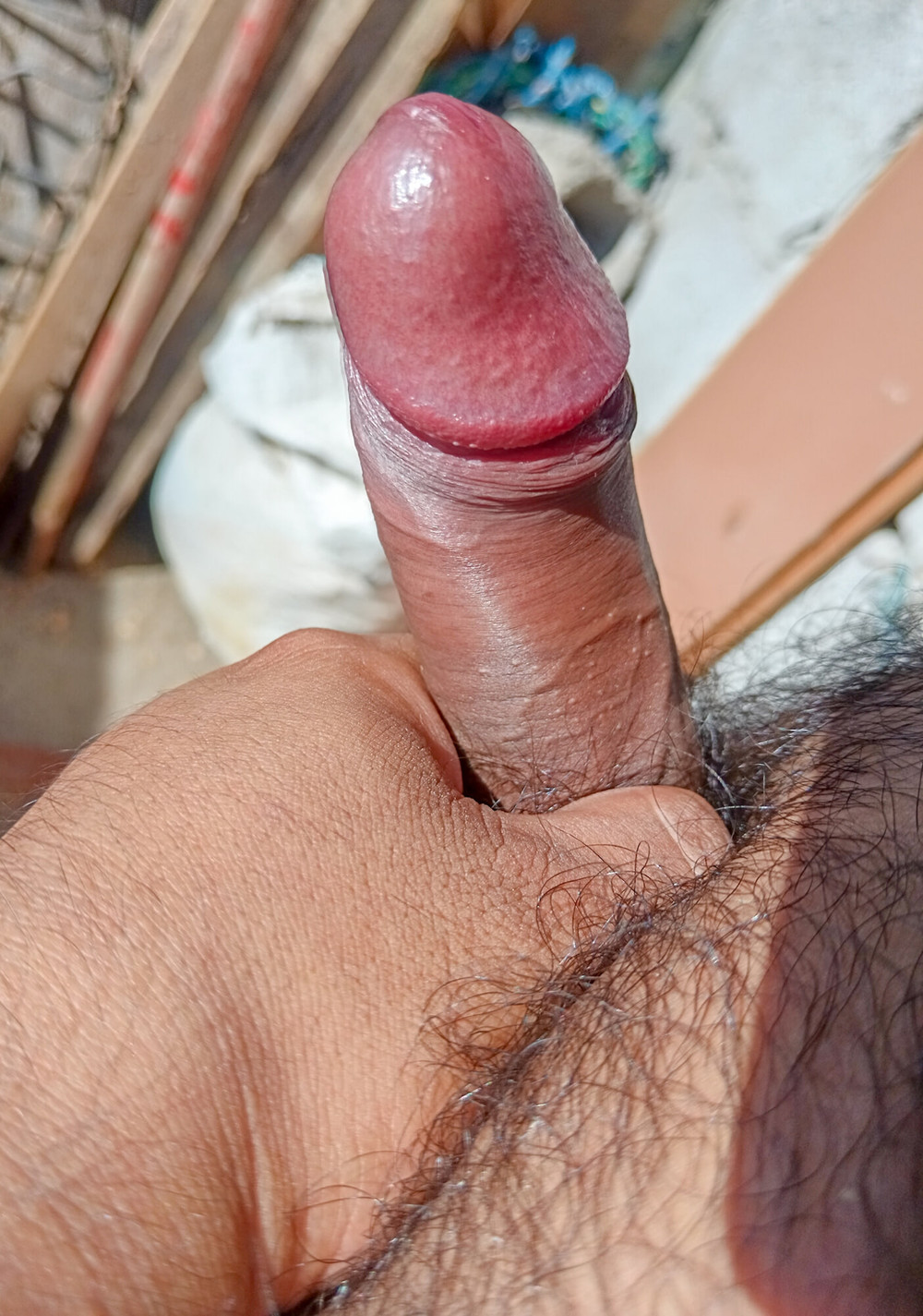 My Beautiful Erect Penis with 5 months without waxing #14